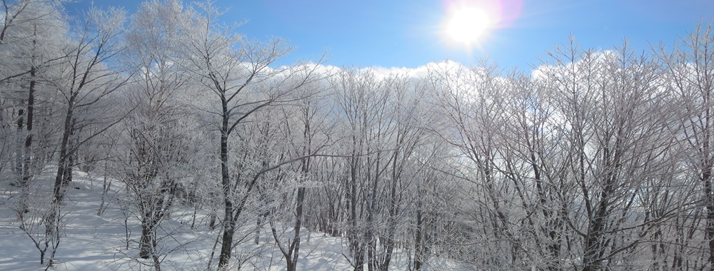 白銀の世界と八ヶ岳の冬